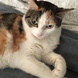 Meet your Posher, Maggie